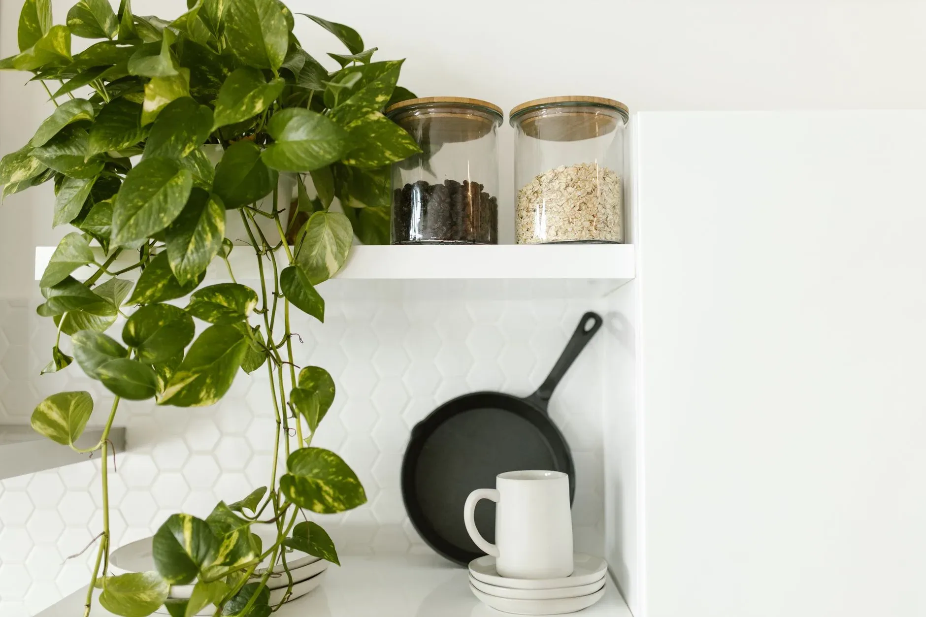 15 White Bathroom Aesthetic Ideas on a Budget A stylish kitchen shelf with a pothos plant, ceramic cup, and glass jars for minimalist decor.