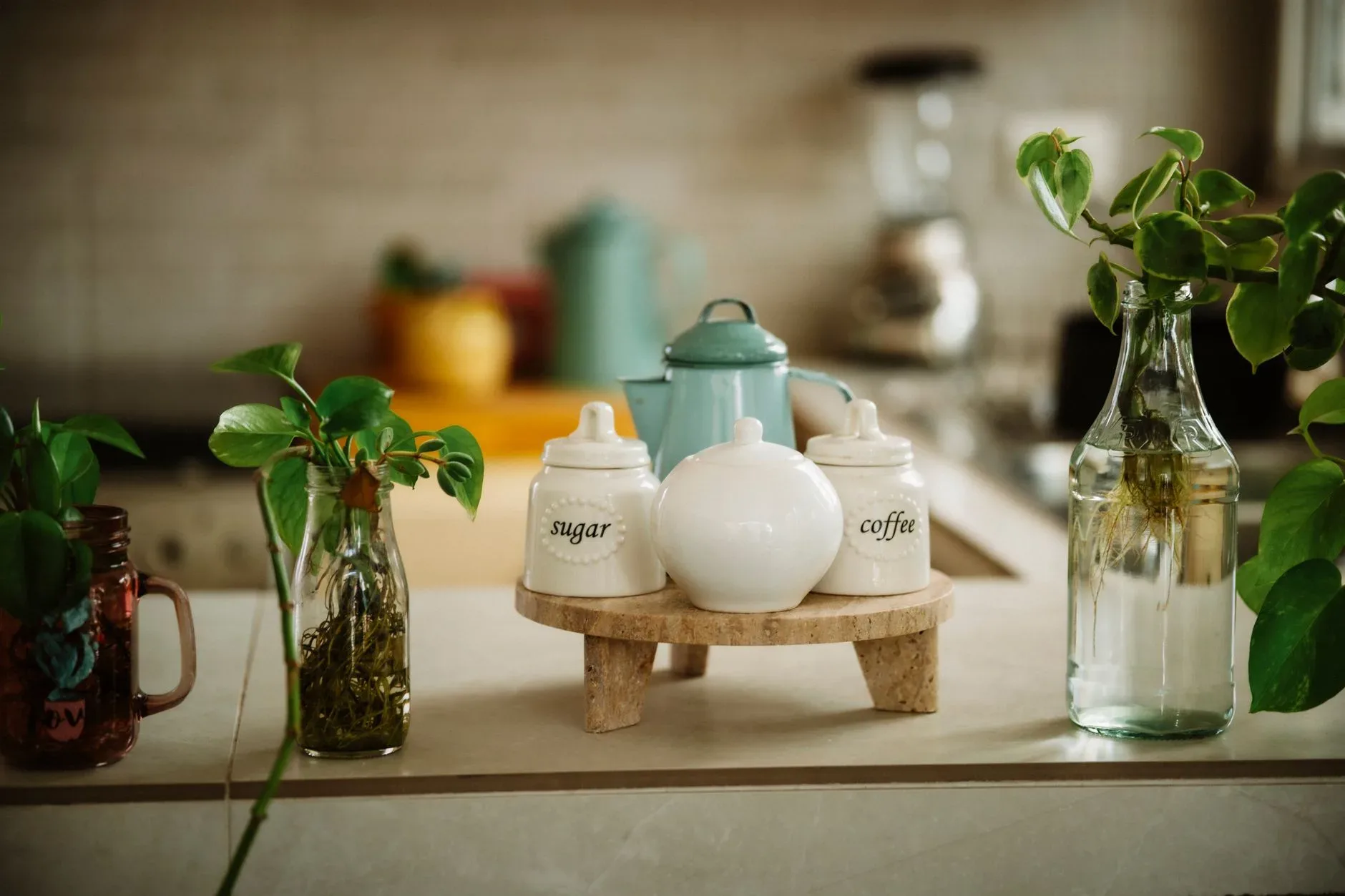 18 Cozy Kitchen Decor Ideas for a Warm Home A warm kitchen counter scene with coffee and sugar jars, plants, and decor items.
