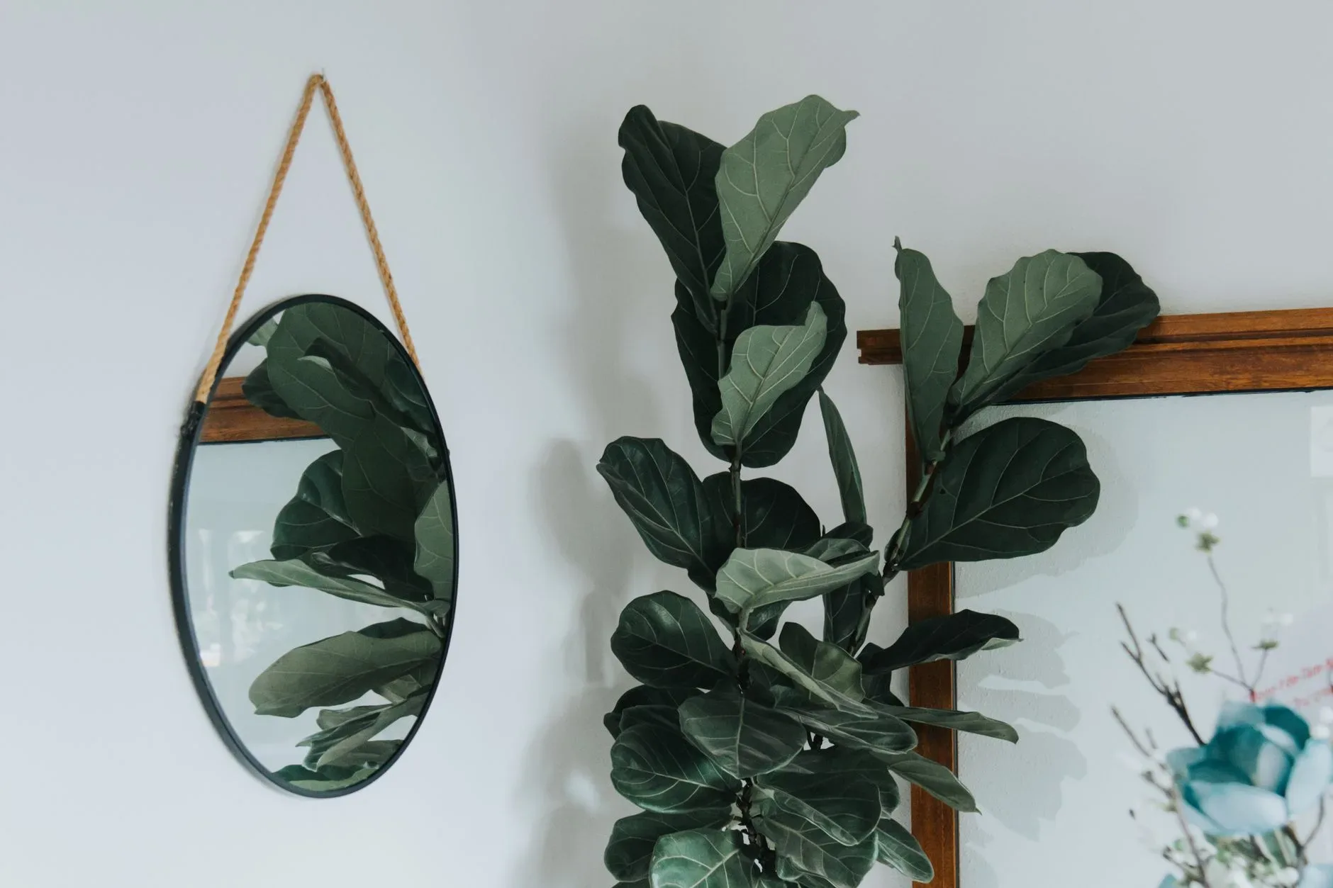 15 High-End Living Room Ideas for Small Spaces Interior with a fiddle leaf fig and round hanging mirror, offering a modern and elegant style.