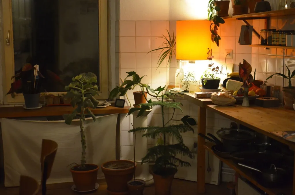 20 Cozy Kitchen Ideas That Make Cooking Feel Like the Best Part of Your Day Various potted plants with lush foliage near table with natural products and glowing lamp in house